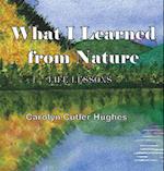 What I Learned From Nature 