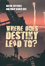 Where Does Destiny Lead to? 