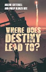 Where Does Destiny Lead to? 