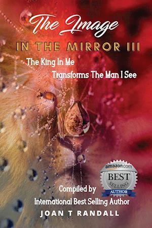 THE IMAGE IN THE MIRROR III