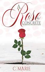 A ROSE IN CONCRETE : Blooming From The Curse Of Silence 