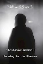 Running in the Shadows: The Shadow Universe II 