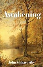 Awakening: And Indian Summer of a Forstye 