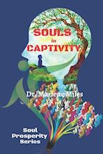 SOULS in CAPTIVITY 