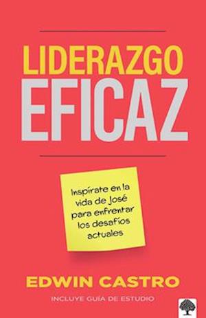 Liderazgo Eficaz