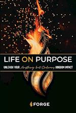 Life ON Purpose Workbook 