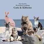 World's Weirdest Looking Cats and Kittens Kids Book