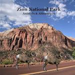 Zion National Park Animals and Attractions Kids Book