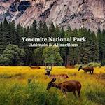 Yosemite National Park Animals & Attractions Kids Book
