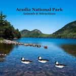 Acadia National Park Animals and Attractions Kids Book