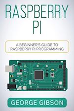 Raspberry Pi : A Beginner's Guide to Raspberry Pi Programming