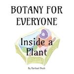 Botany for Everyone: Inside a Plant 