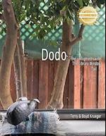 Dodo : The Library Window Tail 7 