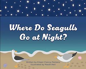 Where Do Seagulls Go at Night?