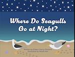 Where Do Seagulls Go at Night?