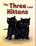 The Three Lost Kittens 