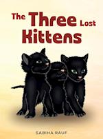 The Three Lost Kittens 