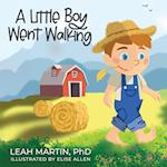 A Little Boy Went Walking