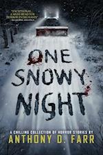 One Snowy Night