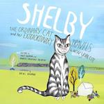 SHELBY, THE ORDINARY CAT and her EXTRAORDINARY TRAVELS  to NEW YORK CITY