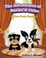 The Adventures of Burnie & Chloe