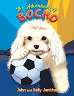 The Adventures of Bocho