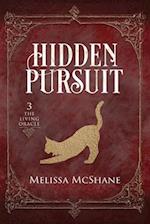 Hidden Pursuit 