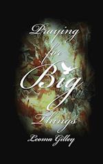 Praying for Big Things: Using God's Word to guide in Praying for the BIG issues in our world 