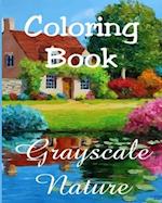 Coloring Book - Grayscale Nature: Beautiful Nature Paintings for Adult Coloring 
