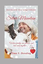 Silver Mountain: Where family, new friends and love come together... 