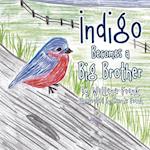 Indigo Becomes a Big Brother