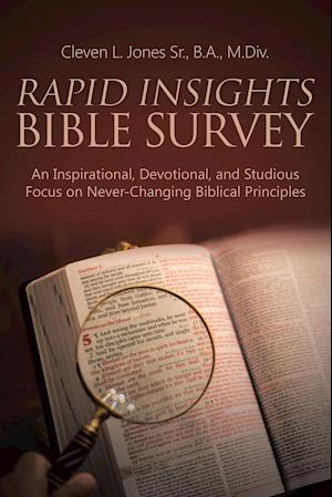 Rapid Insights Bible Survey