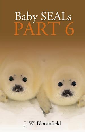 Baby Seals Part 6