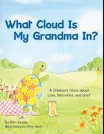 What Cloud Is My Grandma In?