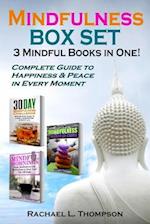 Mindfulness Guide (3 Mindful Books in 1)