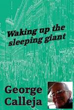 Waking Up the Sleeping Giant