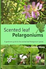 Scented Leaf Pelargoniums