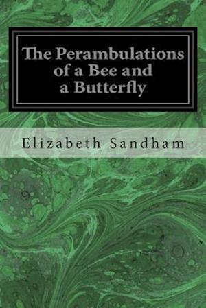 The Perambulations of a Bee and a Butterfly