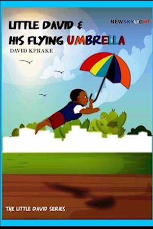 Newskylight: Little David & His Flying Umbrella