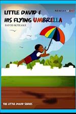 Newskylight: Little David & His Flying Umbrella 