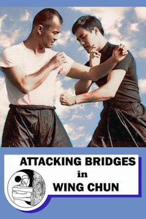 Attacking Bridges in Wing Chun