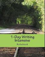 1-Day Writing Intensive