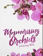 Mesmerising Orchids