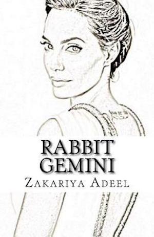 Rabbit Gemini