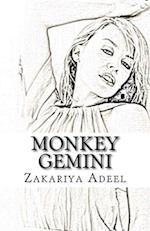 Monkey Gemini
