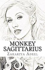 Monkey Sagittarius