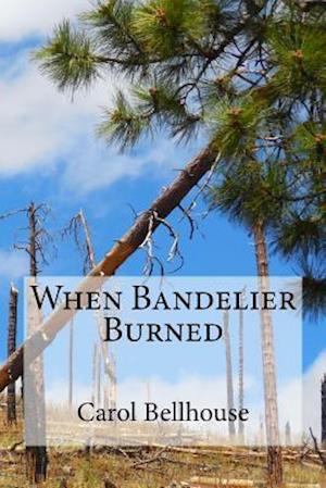 When Bandelier Burned