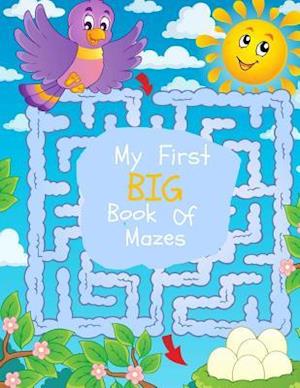 My First Big Book of Mazes