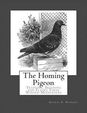 The Homing Pigeon