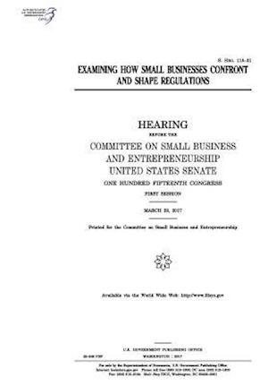 Examining How Small Businesses Confront and Shape Regulations